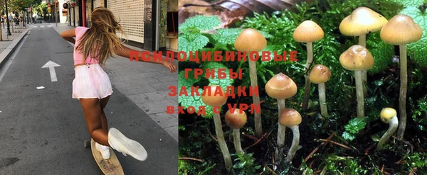spice Алексин