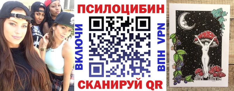 кракен как войти  Арск  Галлюциногенные грибы Cubensis 